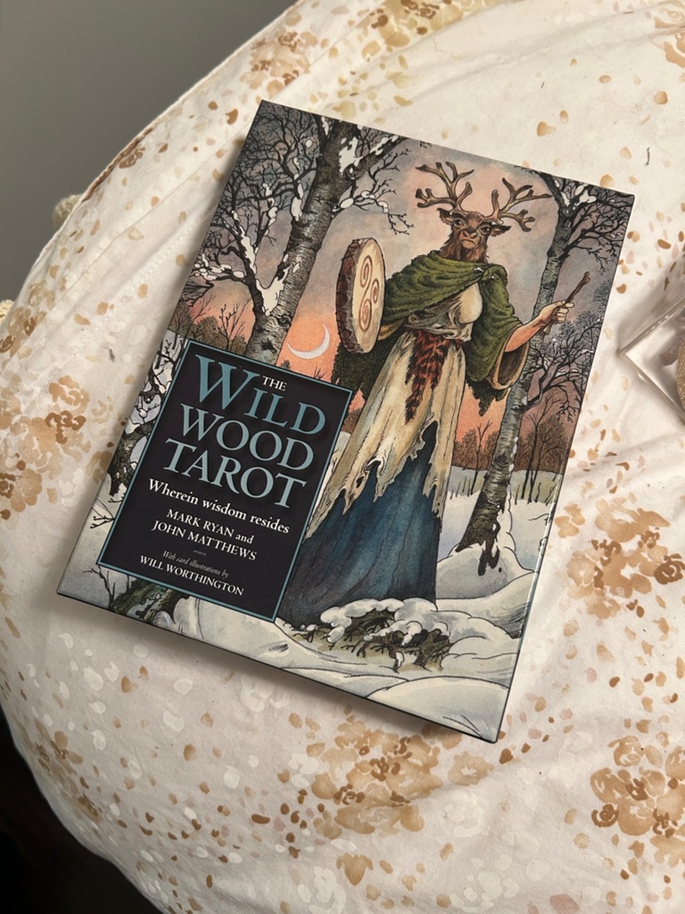 The Wild Wood Tarot Deck and Guidebook with box